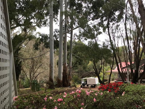 Forest Lodge Resort - Palm Beach Accommodation 11