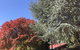 Forest Lodge Resort - thumb 35