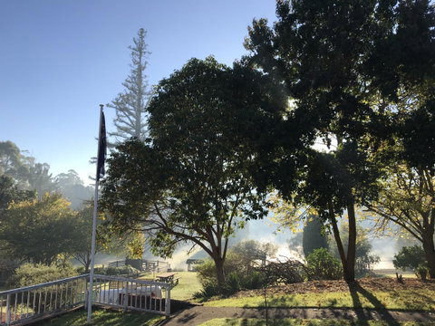 Forest Lodge Resort - Palm Beach Accommodation 21
