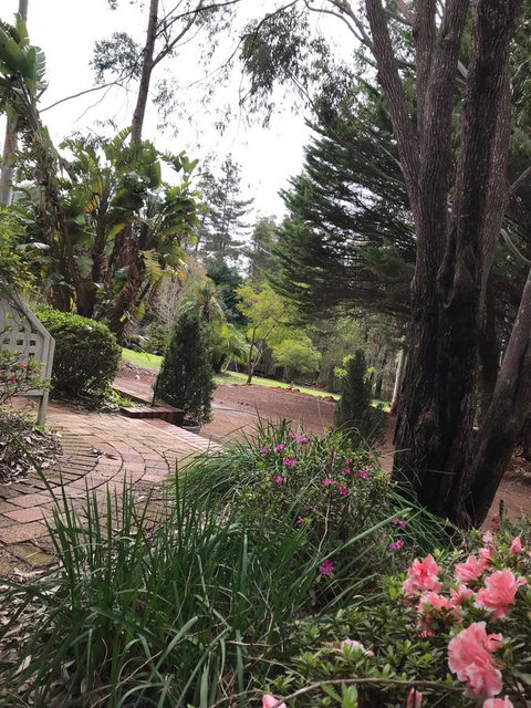 Forest Lodge Resort - Palm Beach Accommodation 10