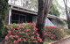 Forest Lodge Resort - thumb 13