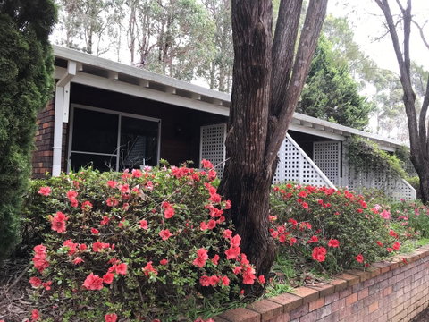 Forest Lodge Resort - Palm Beach Accommodation 13