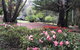 Forest Lodge Resort - thumb 12