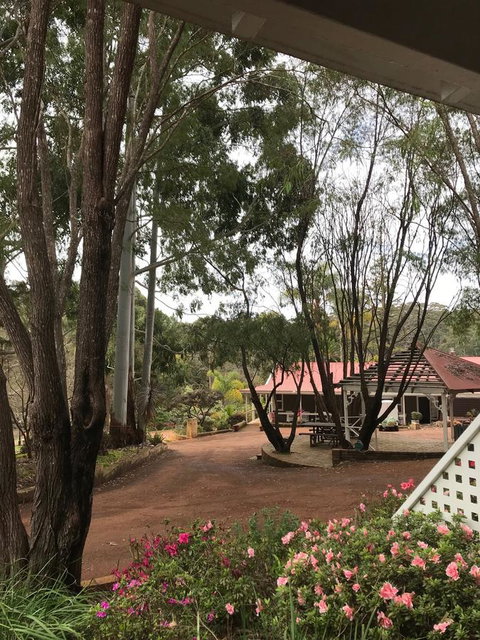 Forest Lodge Resort - Palm Beach Accommodation 9