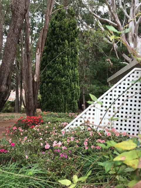 Forest Lodge Resort - Palm Beach Accommodation 7
