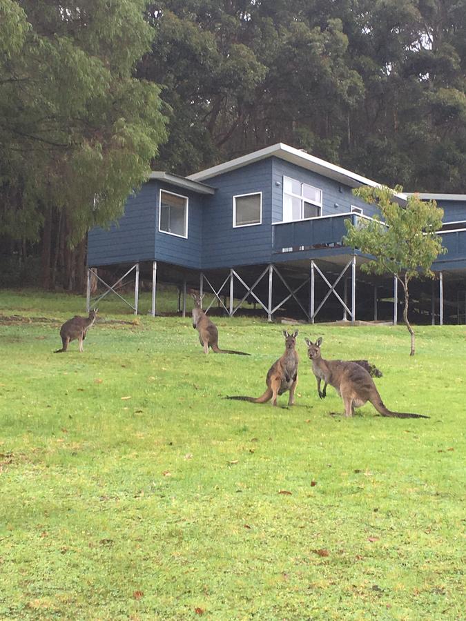 Denmark WA Palm Beach Accommodation