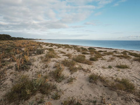 FortyOne - Oceanside Retreat Busselton - Palm Beach Accommodation 6