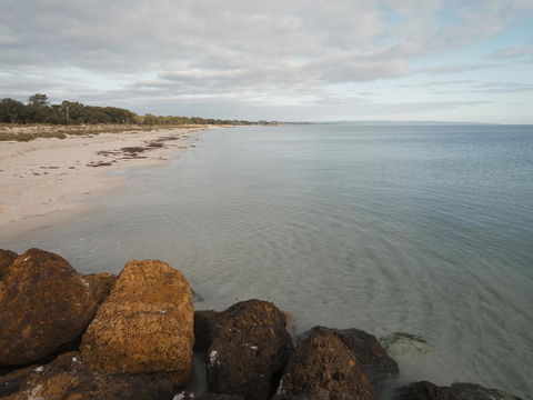 FortyOne - Oceanside Retreat Busselton - Palm Beach Accommodation 1