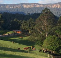 Amaroo Valley Springs - Palm Beach Accommodation