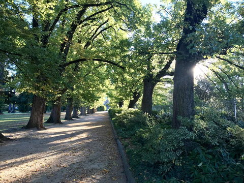 The Botanical 201 - Palm Beach Accommodation 17