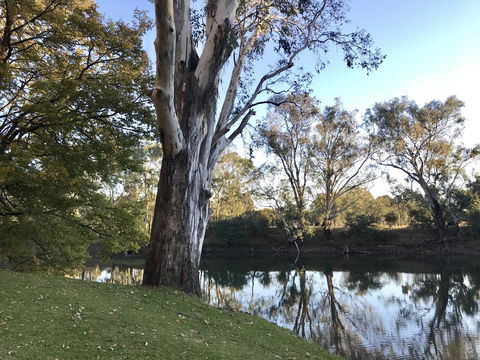 The Botanical 201 - Palm Beach Accommodation 18