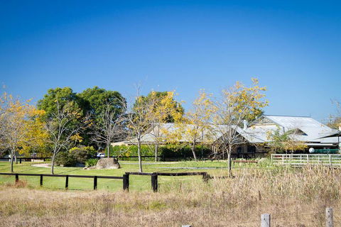 Potters Apartments - Palm Beach Accommodation 26