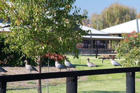 Potters Apartments - Palm Beach Accommodation 25