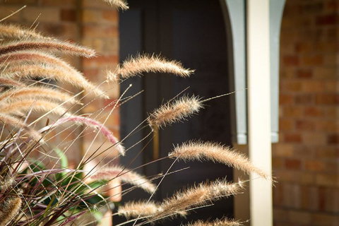 Potters Apartments - Palm Beach Accommodation 41