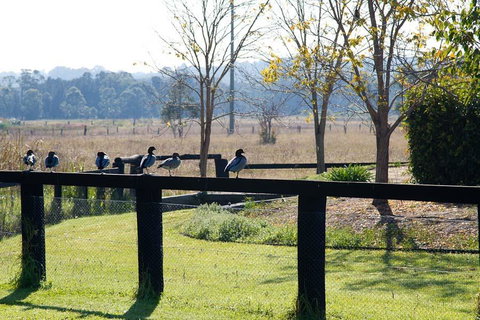 Potters Apartments - Palm Beach Accommodation 24