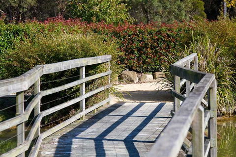 Potters Apartments - Palm Beach Accommodation 10