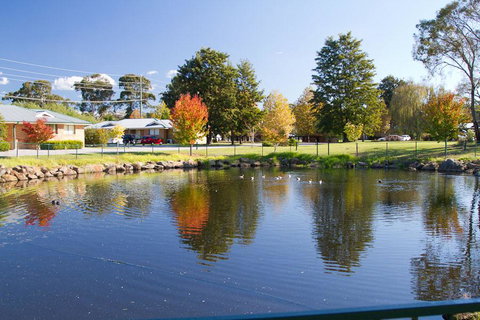 Potters Apartments - Palm Beach Accommodation 39