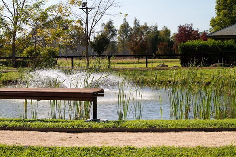 Potters Apartments - Palm Beach Accommodation 23