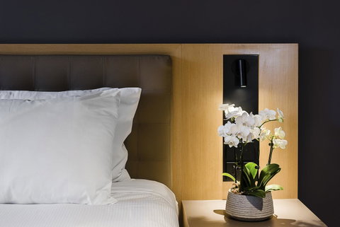 Novotel Sydney Darling Harbour - Palm Beach Accommodation 7