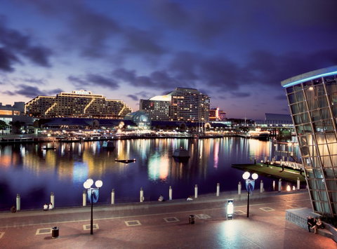 Novotel Sydney Darling Harbour - Palm Beach Accommodation 38