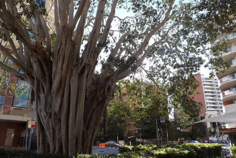 Fiori Apartments - Palm Beach Accommodation 29