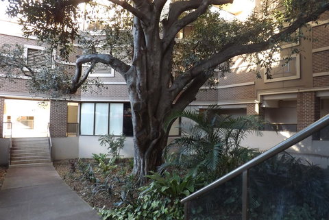 Fiori Apartments - Palm Beach Accommodation 32