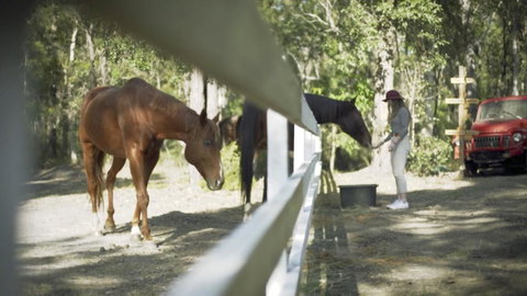 The Woods Farm Jervis Bay - Palm Beach Accommodation 13