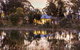 The Woods Farm Jervis Bay - thumb 5