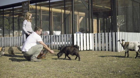 The Woods Farm Jervis Bay - Palm Beach Accommodation 14