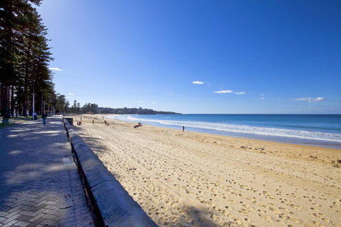 Manly Paradise Motel & Apartments - Palm Beach Accommodation 8