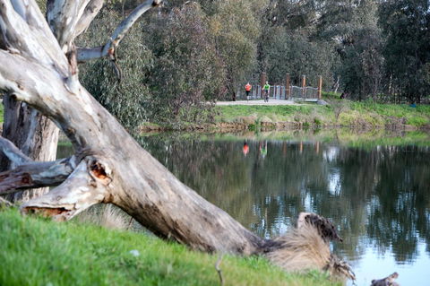 Mercure Albury - Palm Beach Accommodation 15
