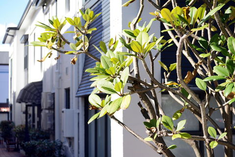 Avoca Randwick By Sydney Lodges - Palm Beach Accommodation 34