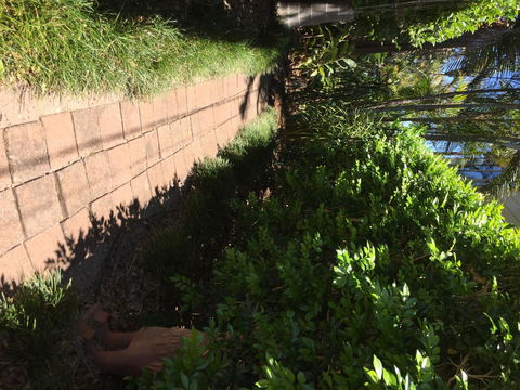 Swan Bay Hideaway - Palm Beach Accommodation 6
