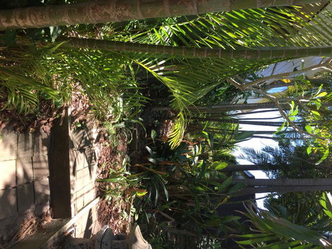 Swan Bay Hideaway - Palm Beach Accommodation 9