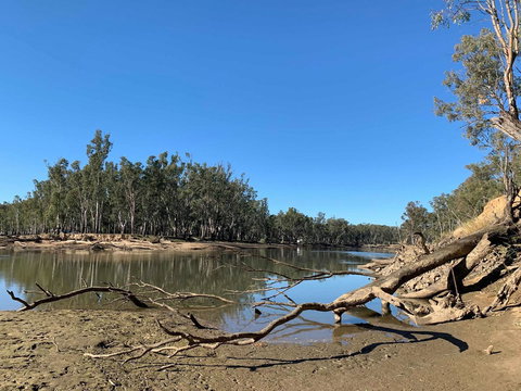 Corowa Bindaree Holiday Park - Palm Beach Accommodation 1