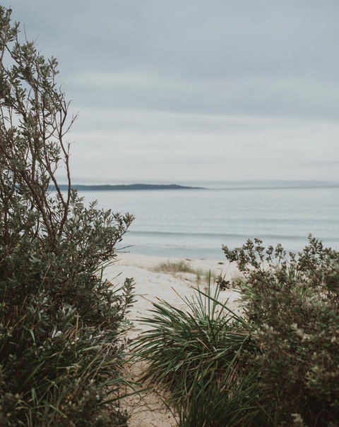 Salthouse Berrara - Palm Beach Accommodation 18