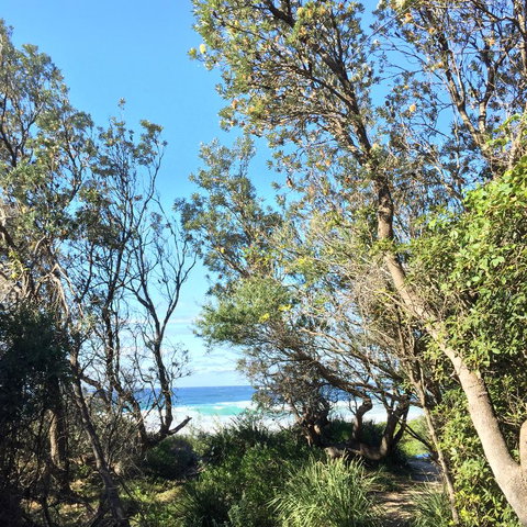 Salthouse Berrara - Palm Beach Accommodation 22
