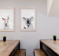 Mad Monkey Backpackers on Broadway - Palm Beach Accommodation