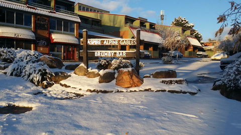 Alpine Gables - Palm Beach Accommodation 10