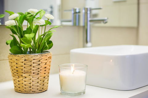 Alpine Gables - Palm Beach Accommodation 21