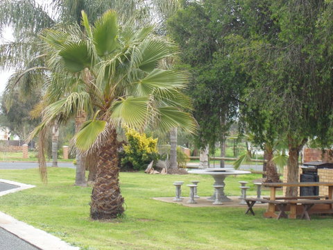 Temora Motel - Palm Beach Accommodation 5