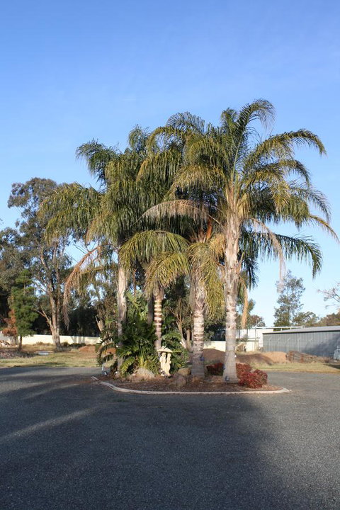 Temora Motel - Palm Beach Accommodation 6