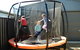 Thelma's Temora - thumb 17