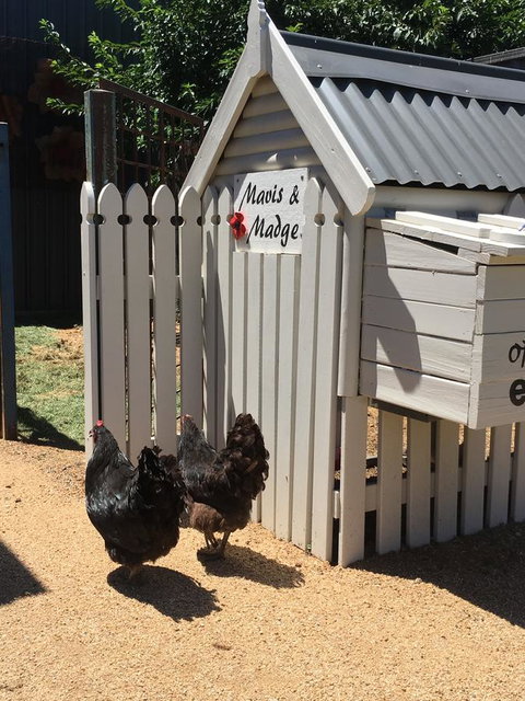 Thelma's Temora - Palm Beach Accommodation 12
