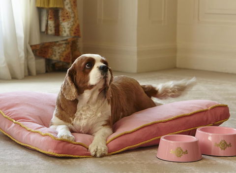 The Langham Sydney - Palm Beach Accommodation 23