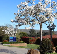 Hume Country Motor Inn - Palm Beach Accommodation