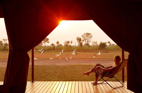 Wildman Wilderness Lodge - Palm Beach Accommodation 12