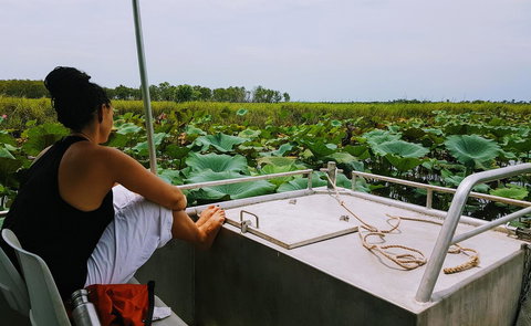 Wildman Wilderness Lodge - Palm Beach Accommodation 26