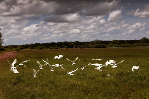 Wildman Wilderness Lodge - Palm Beach Accommodation 20