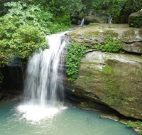 Buderim Forest Hideaway - Palm Beach Accommodation